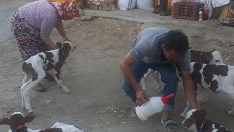 Türkiyede ilk kez gerçekleşiyor Hayrete düştüler