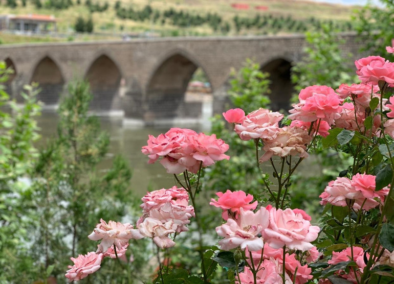 Sevginin Diyarı Diyarbakır Nehri Dicle