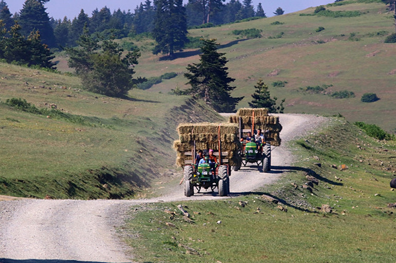 Çam ormanları arasında unutamayacağınız bir tatil...Yaylalara kaçış başladı