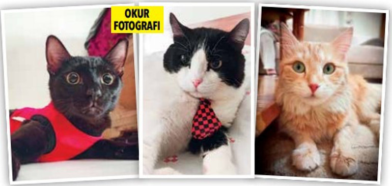 Karantinada bizi onlar kurtardı