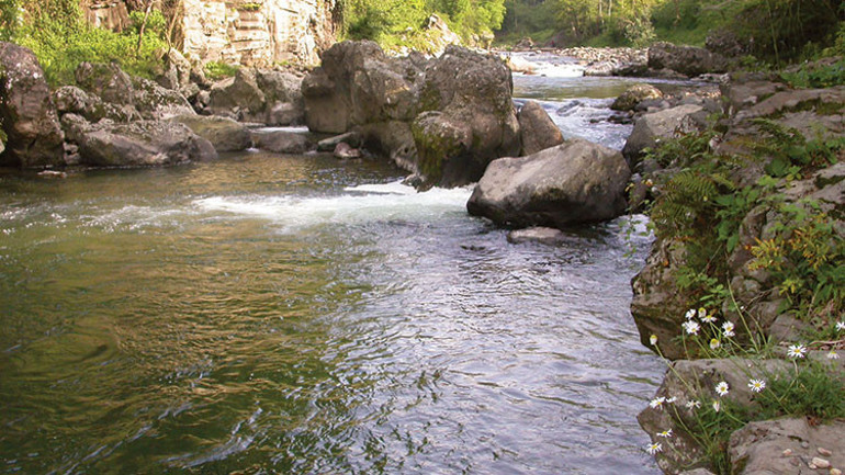 Telliturnadan haber beklemeyin