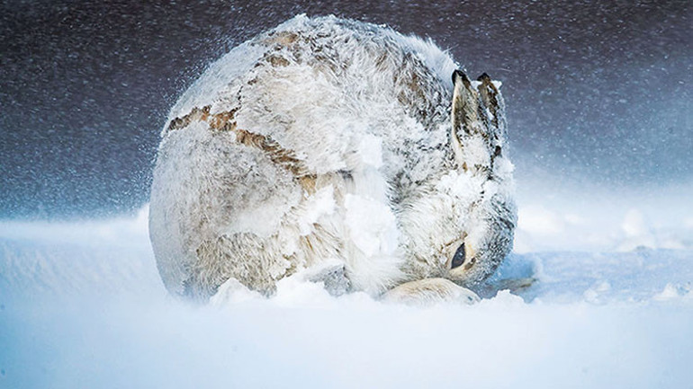 Telliturnadan haber beklemeyin