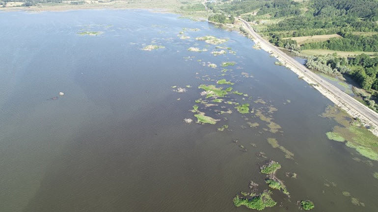 Yüzen adaları karaya oturan Ladik Gölünde bataklık tehlikesi