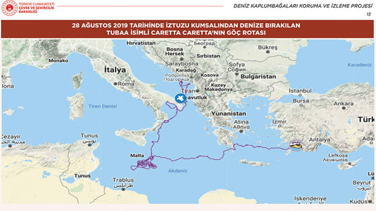 Bir yılda 6500 km yol yaptı; Tuba serinlik peşinde