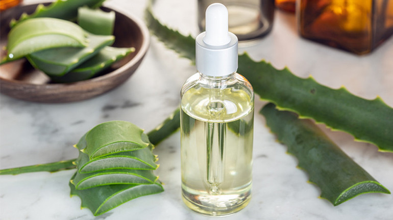 Aloe Vera Yağının Faydaları Neler Ev Yapımı Aloe Vera Yağı Tarifi...