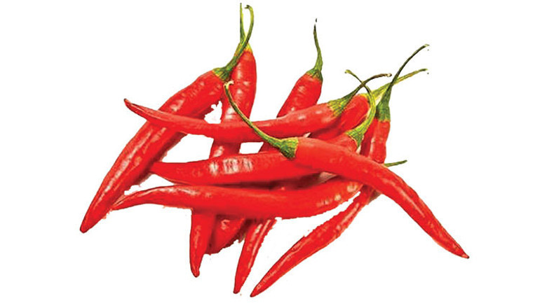 Mutfağınızdaki yaz bitmeyecek