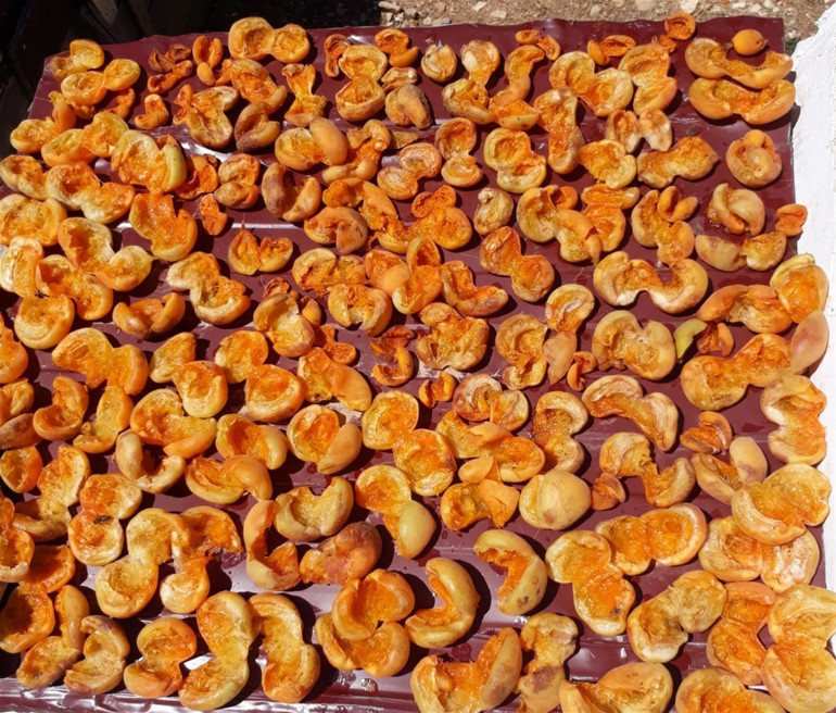 Zahire ayı başladı... Yaz lezzetleri kışın da sofraları süsleyecek