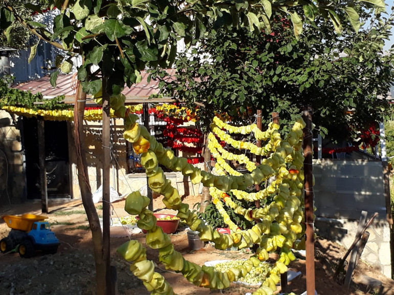 Zahire ayı başladı... Yaz lezzetleri kışın da sofraları süsleyecek