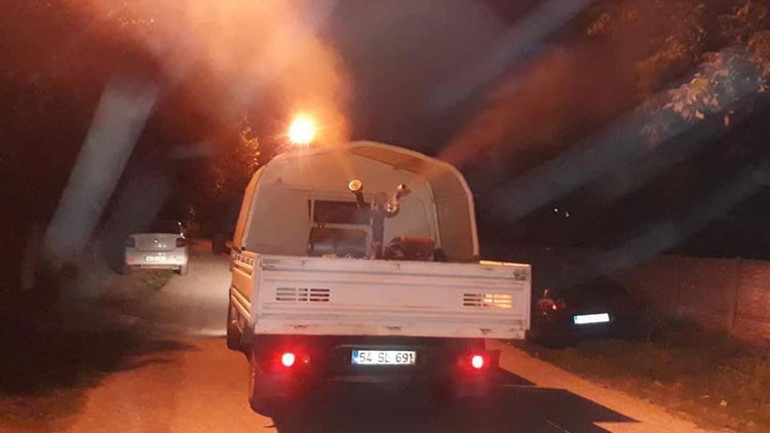 Sapancada büyük panik Asya kaplan sivrisineği yine ortaya çıktı