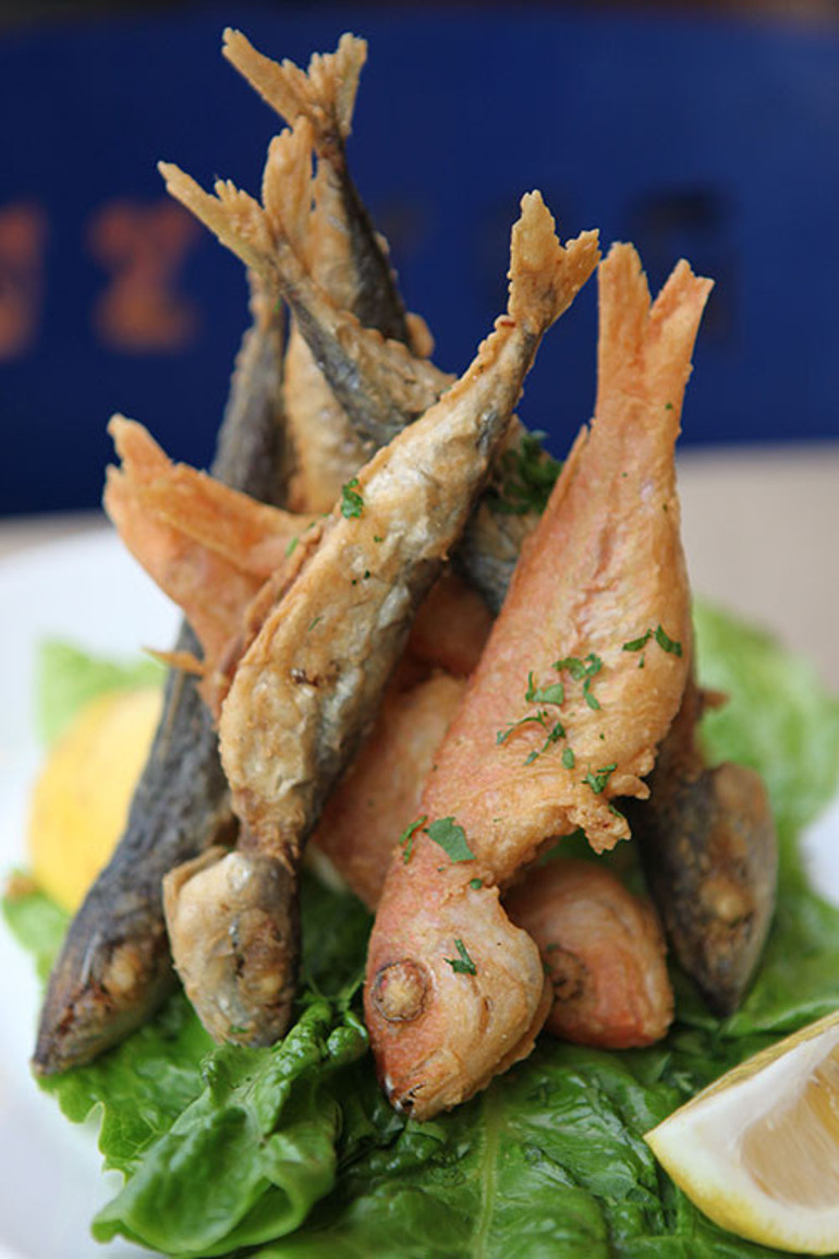 Tekir nasıl bir balıktır Tekir balığı nasıl pişirilir