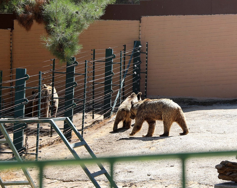 Gaziantep Hayvanat Bahçesini 4 ayda, 427 bin kişi ziyaret etti