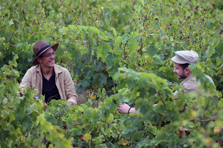 Bağ bozumu telaşı fotoğraf tutkunlarını Trakya bağlarına çekiyor