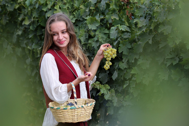 Bağ bozumu telaşı fotoğraf tutkunlarını Trakya bağlarına çekiyor