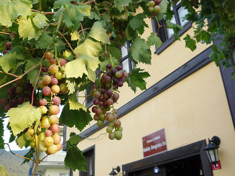 Misiköy Etnografya Evi, kültürümüzü solumaya bekliyor