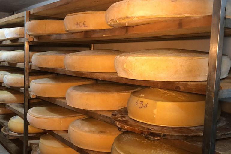 İsviçrenin Appenzeller peynirinin rakibi: Kars kaşarı