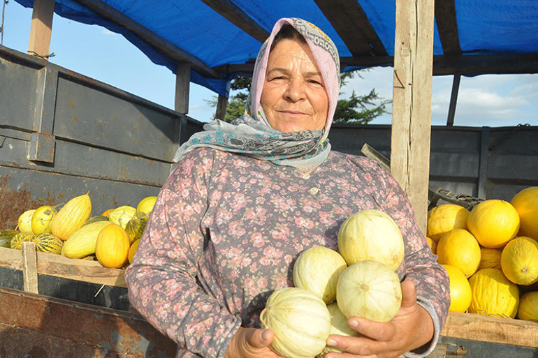 Tekirdağın 600 gramlık, hırsız almaz kavunlarına yoğun talep