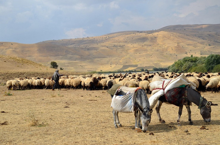 Göçerlerin zorlu dönüş yolcuğu