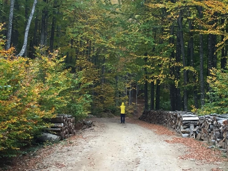 Doğa ve fotoğraf tutkunları Domaniç’e akın etti