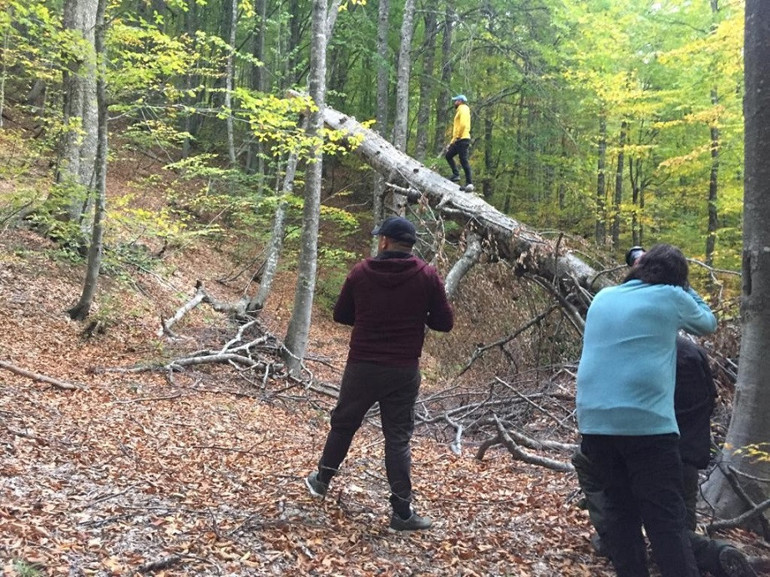 Doğa ve fotoğraf tutkunları Domaniç’e akın etti