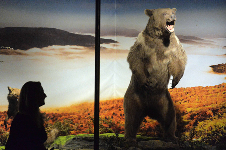 Nadir tabiat varlıklarını gelecek nesillere taşıyan müze