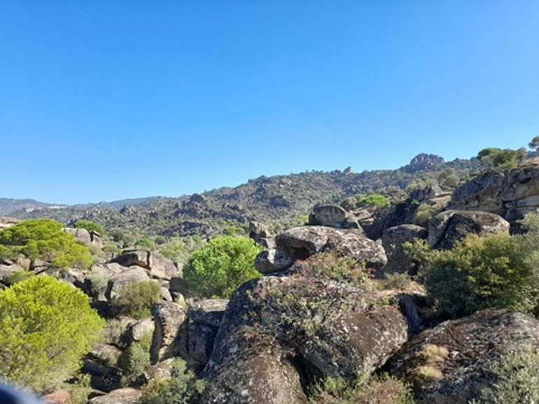 Latmosun 12 bin yıllık kaya resimleri dünyaya açılacak