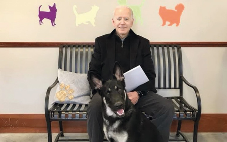 100 yıl sonra Beyaz Saray köpeksiz... Acaba değişecek mi