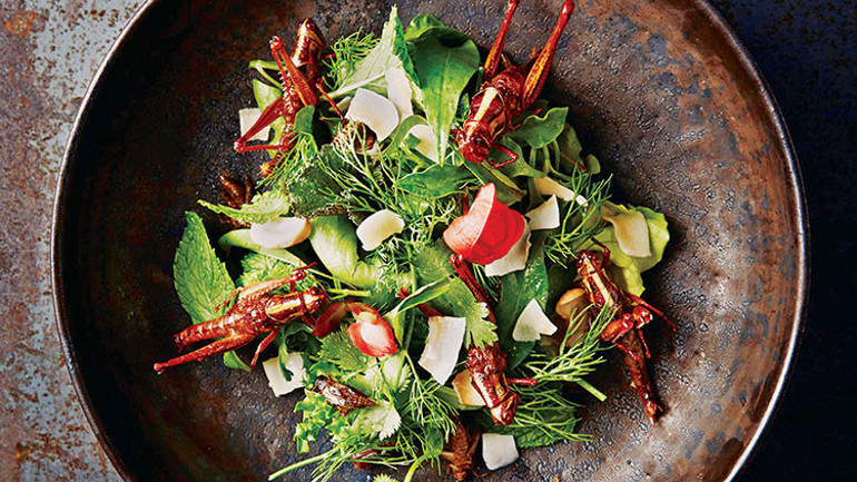 Böceklerle aranız nasıl