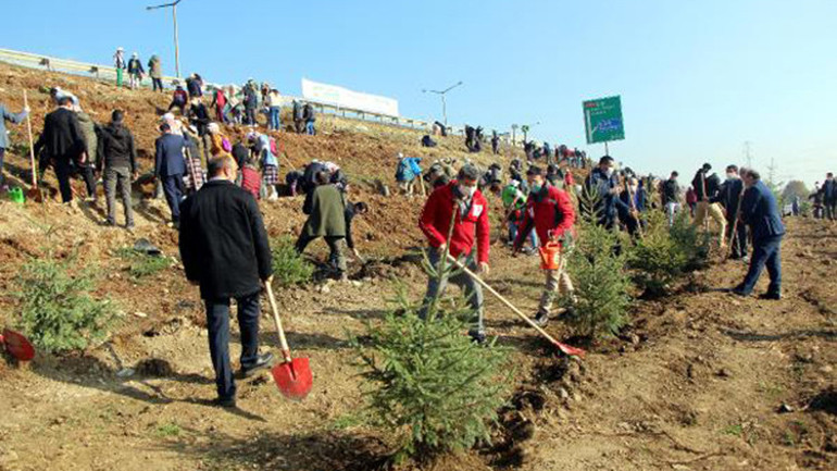 Boluda 9 bin fidan, toprakla buluşturuldu