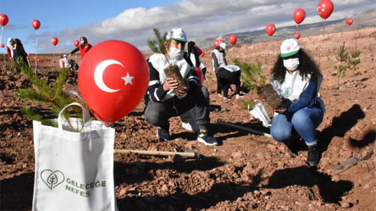 Sivasta, 1 milyon fidan toprakla buluşturuldu