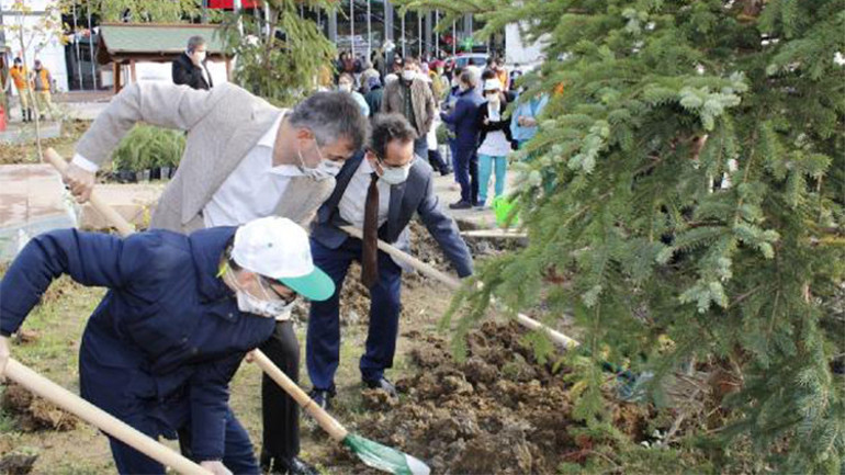 Şilede Geleceğe Nefes etkinliği; fidanlar toprakla buluştu