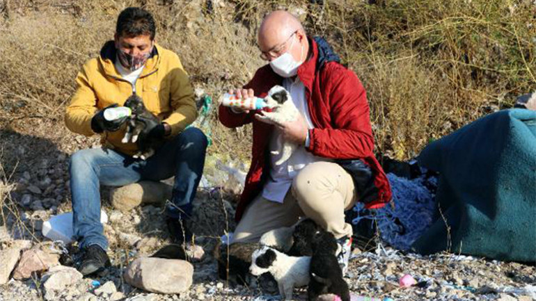 Çöplükteki 9 yavru köpeğe, hayvansever 2 arkadaş sahip çıktı