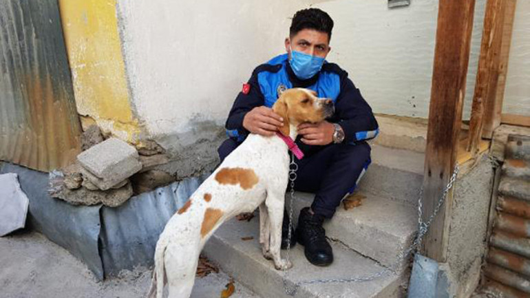 Sopayla işkence edilen köpeği zabıta görevlisi sahiplendi, saldırgana para cezası kesildi
