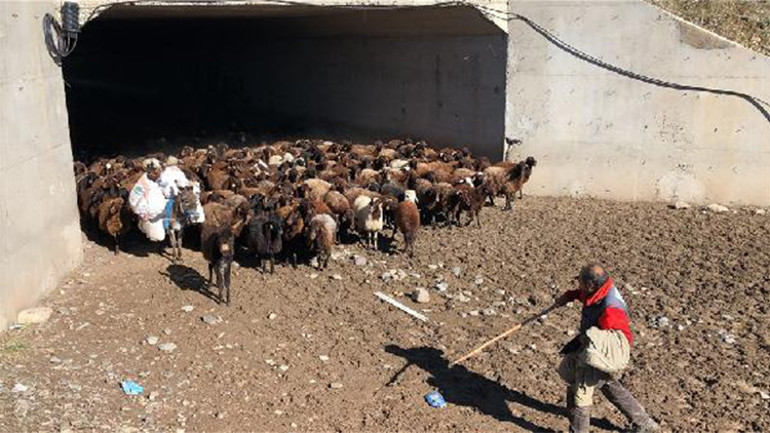 Göçerlerin zorlu yolculuğu