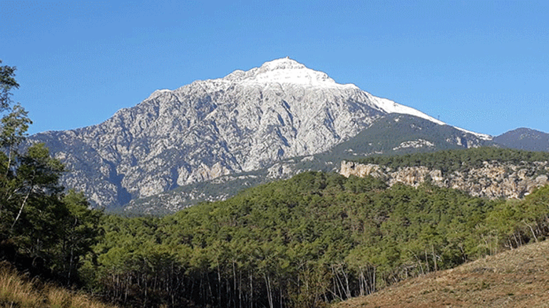 LİKYA YOLU’NDA  AĞAÇ İSYANI