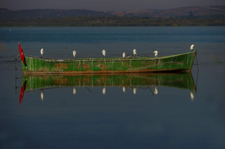 Gölyazı’nın güz misafirleri