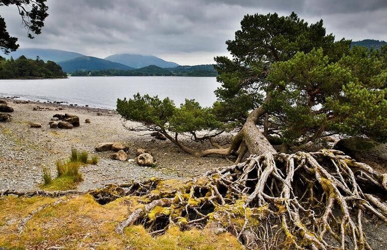 Hayalet şehir, kurak zamanlarda yüzünü gösteriyor (Derwent Kasabası)