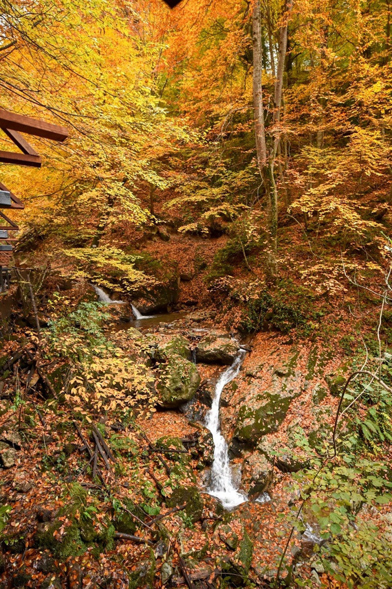 Turizm cenneti Oylatta sonbahar güzelliği