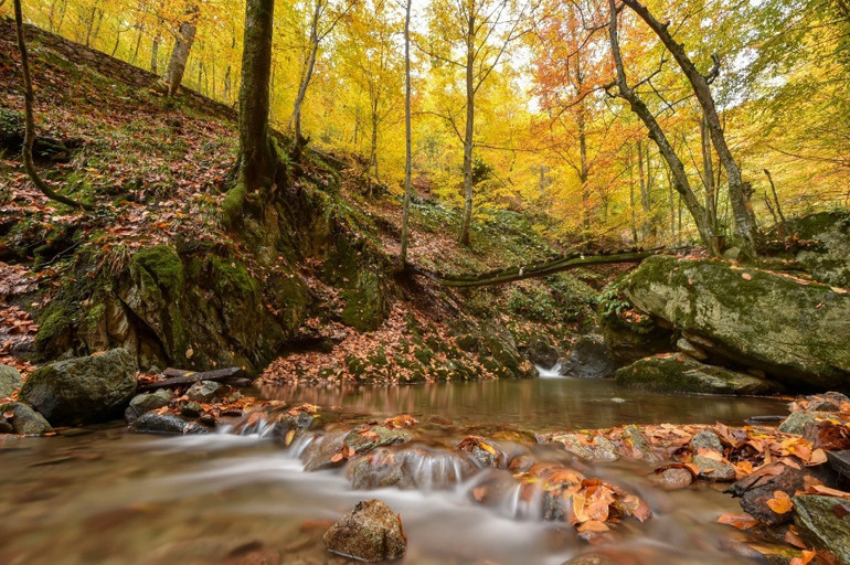 Turizm cenneti Oylatta sonbahar güzelliği
