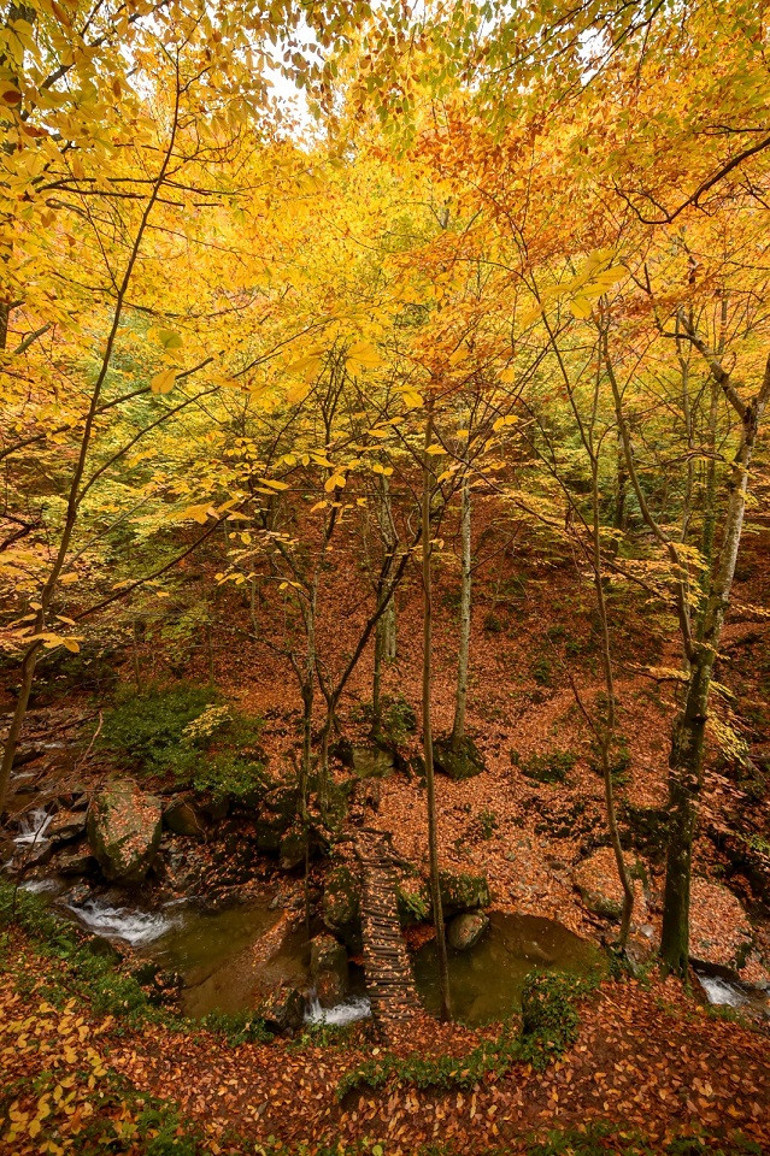 Turizm cenneti Oylatta sonbahar güzelliği