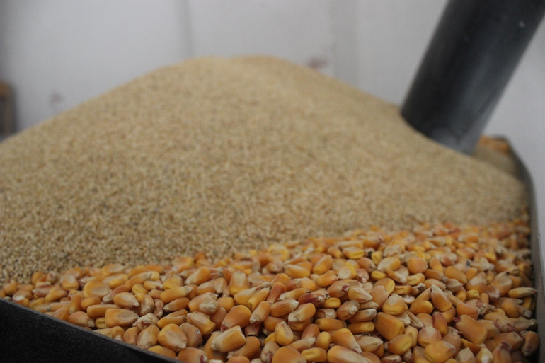 Koronavirüs kış aylarının vazgeçilmezi bozaya olan ilgiyi daha da artırdı