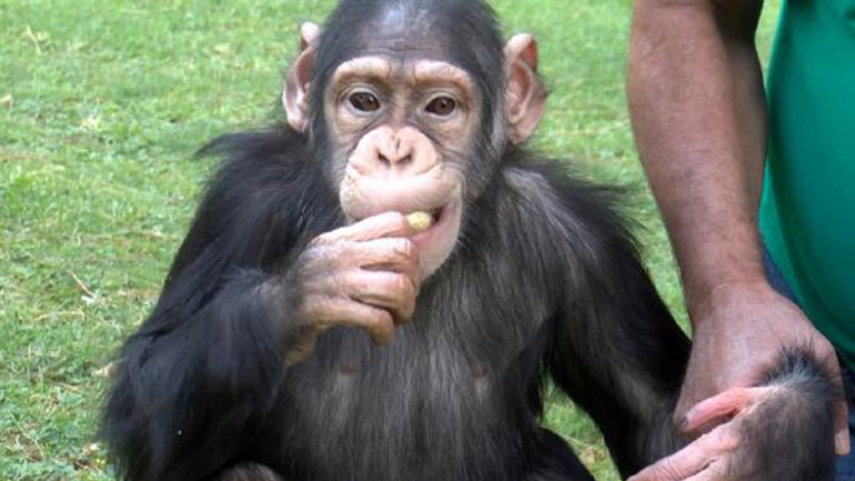 Gaziantepte hayvanlara özel kış menüsü