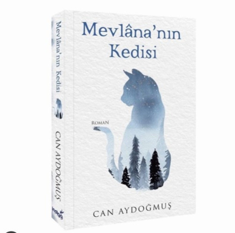 Bugün ne yapsak