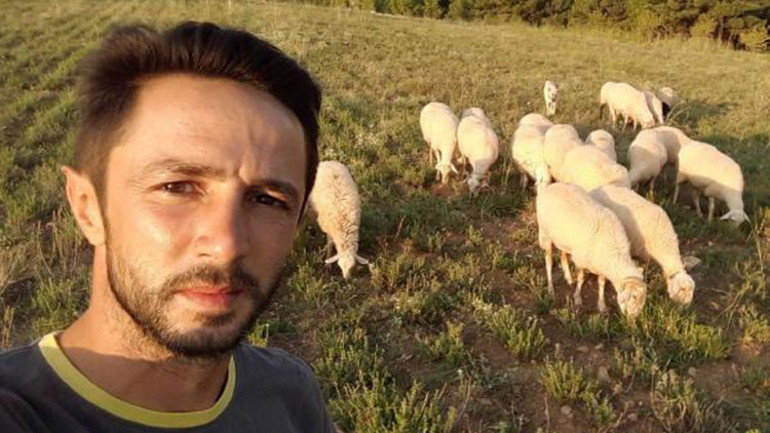 Tüfekle otomobilden ateş açılan Kangal çoban köpeği, 42 saçmayla yaralandı