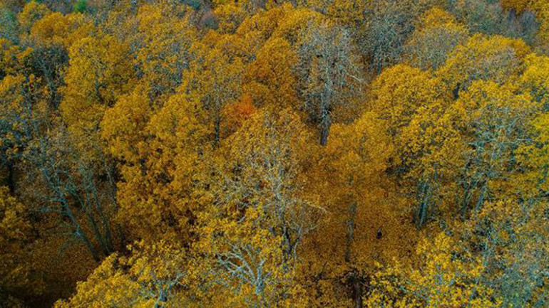 Eğirdirde kış mevsiminde sonbahar renkleri