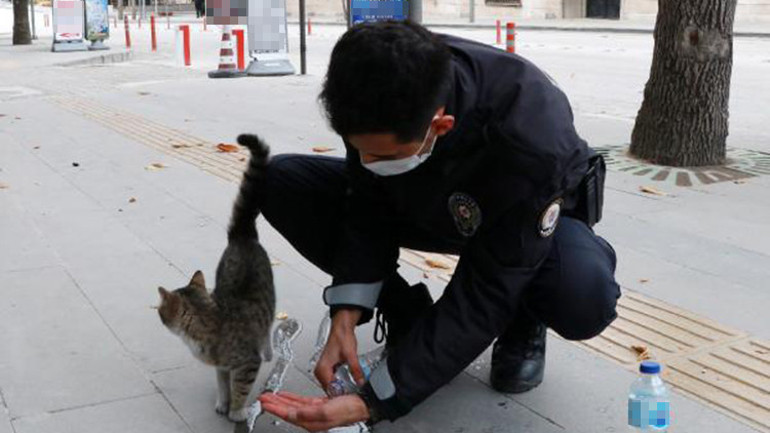 Kafede mahsur kalan kediye, polisin su içirme çabası kamerada