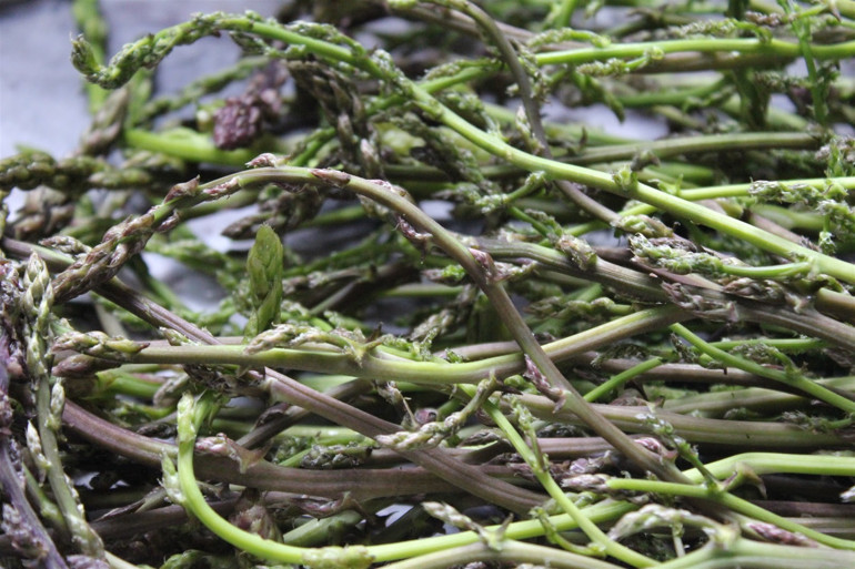 Koronavirüs ilgiyi artırdı: İşte Ege otlarının faydaları