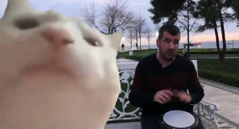 Bilal Göregen kimdir nereli kaç yaşında Kedi (Cat vibing) videoları ile dikkat çekti