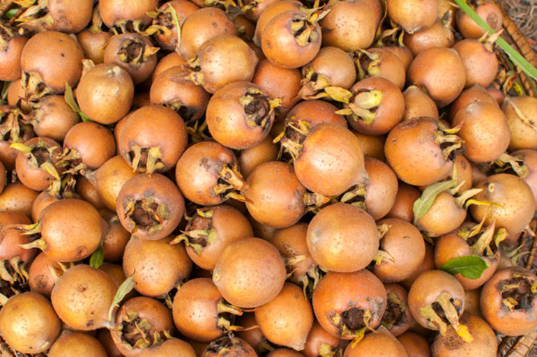 Tam anlamıyla şifa dağıtıyor Diyabetin doğal ilacı...