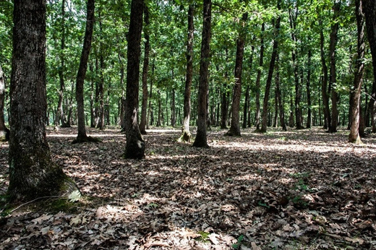 Kısıtlama sonrası gidilecek İstanbulun yanı başındaki yürüyüş rotaları