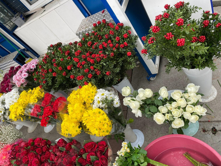 Yılbaşı çiçeği kokinaya yoğun talep